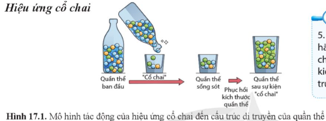 Dựa vào hình 17.1, hãy mô tả sự kiện 