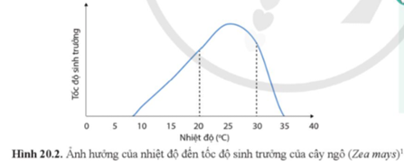 Quan sát hình 20.2 và cho biết khoảng thuận lợi và điểm tới hạn về nhiệt độ đối với sự sinh trưởng của cây ngô (Zea mays). (ảnh 1)