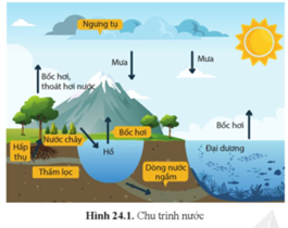 Quan sát hình 24.1 và trình bày chu trình nước. (ảnh 1)