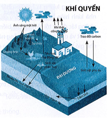 Hình bên mô tả chu trình carbon trên Trái Đất, trong đó carbon được trao đổi giữa sinh quyển, thổ nhưỡng quyển, địa quyển (ảnh 1)