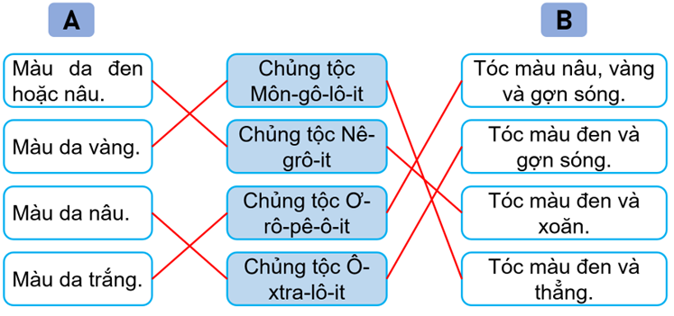 Nối thông tin ở bên trái và bên phải với thông tin ở giữa sao cho phù hợp về đặc điểm ngoại hình của các chủng tộc chính trên thế giới. (ảnh 2)