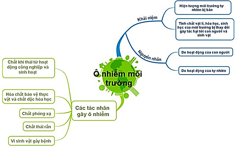 1. Thảo luận để lựa chọn nội dung xây dựng sơ đồ tư duy theo nhóm.    (ảnh 2)