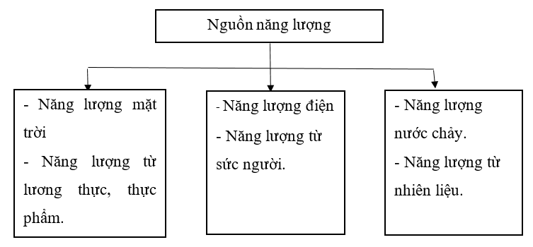 Viết tên một số nguồn năng lượng vào chỗ (…) trong sơ đồ.  (ảnh 2)