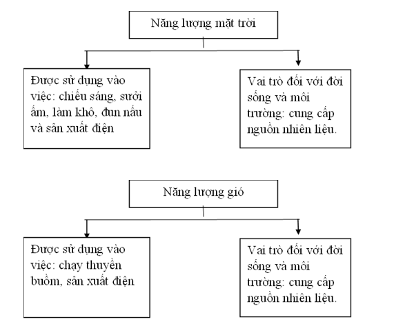 Quan sát các hình từ 1 đến 10 (SGK trang 41, 42) và hoàn thành các sơ đồ dưới đây. (ảnh 2)