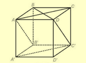 Cho hình hộp ABCD.A′B′C′D′ có các mặt là các hình vuông. Tính các góc (AA′,CD), (A′C′,BD), (AC,DC′). Kéo thả các đáp án vào ô trống thích hợp: Góc (AA′,CD) là ____ Góc (A′C′,BD) là ____ Góc (AC,DC′) là ____ (ảnh 1)