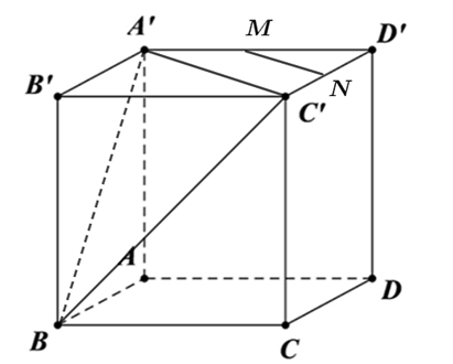 Cho hình lập phương ABCD.A'B'C'D'. Gọi M, N (ảnh 1)