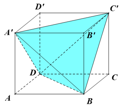 Cho hình hộp chữ nhật \(ABCD.A'B'C'D'\) có \(M,N,P\) lần lượt là trung điểm các cạnh \(BC,C'D',DD'\). Thể tích khối hộp chữ nhật \(ABCD.A'B'C'D'\) bằng 144. Kéo số ở các ô vuông thả vào vị trí thích hợp trong các câu sau: (ảnh 2)