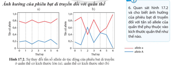 Quan sát hình 17.2 và cho biết ảnh hưởng của phiêu bạt di truyền đối với tần số allele của quần thể phụ thuộc vào kích thước quần thể như thế nào. (ảnh 1)