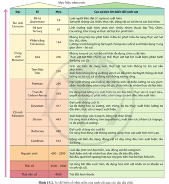 Quan sát hình 19.2, nêu một số biến cố lớn thể hiện sự phát sinh và phát triển của sinh vật qua các đại địa chất. (ảnh 1)