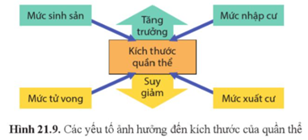 Quan sát hình 21.9 và cho biết sự tác động của các yếu tố đến kích thước quần thể. (ảnh 1)