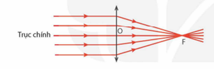 Trục chính của thấu kính hội tụ là đường thẳng A. bất kỳ đi qua quang tâm của thấu kính. (ảnh 1)