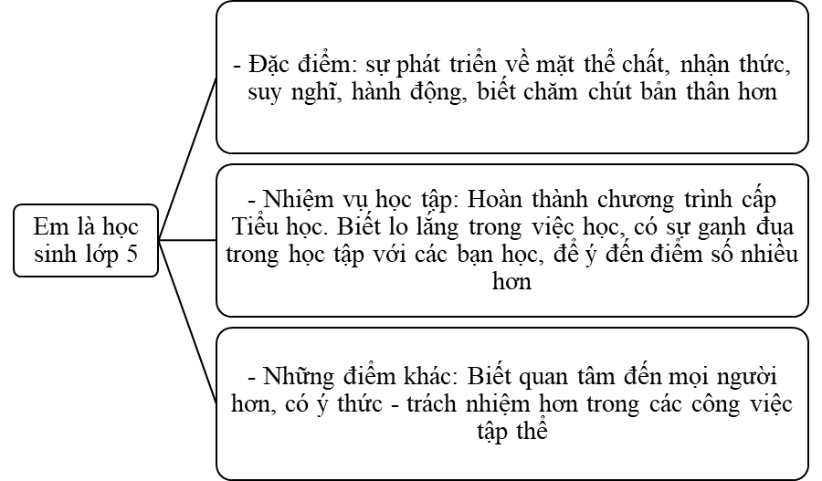 Hoàn thành sơ đồ tư duy về những đặc điểm của học sinh lớp 5. (ảnh 2)