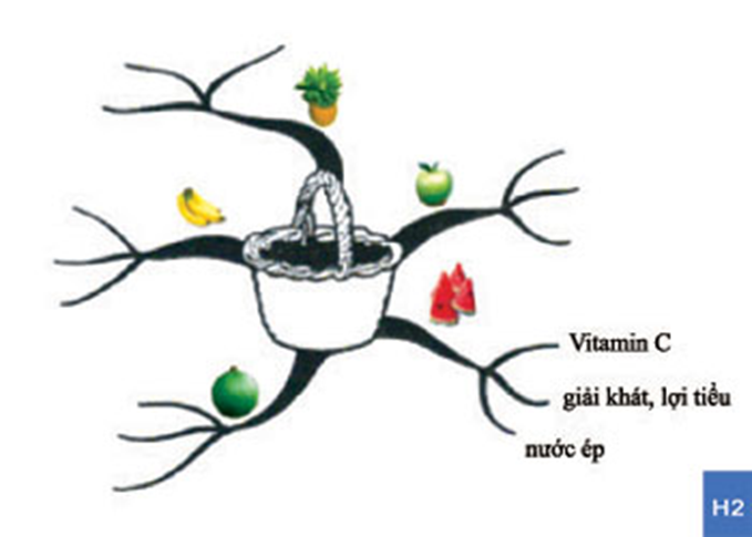 Vẽ sơ đồ tư duy trình bày thông tin về một sự vật, hiện tượng mà em quan tâm. (ảnh 1)