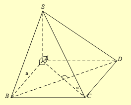 Cho hình chóp \(S.ABCD\), đáy \(ABCD\) là hình vuông cạnh bằng \(a\) và \(SA \bot \left( {ABCD} \right)\). Biết \(SA = \frac{{a\sqrt 6 }}{3}\). Tính góc giữa \(SC\) và \(\left( {ABCD} \right)\). 	A. \({30^ \circ }\).	B. \({45^ \circ }\).	C. \({60^ \circ }\).	D. \({20^ \circ }\). (ảnh 1)