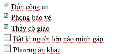 Trao đổi với người thân về cách ứng phó khi gặp các tình huống xâm hại thân thể trẻ em (ảnh 3)