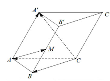 Cho hình lăng trụ ABC.A'B'C', M là trung điểm BB' (ảnh 1)