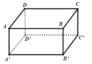 Tổng vecto AB + vecto AD + vecto AA' bằng vecto (ảnh 1)