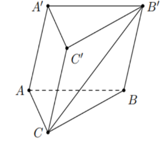 Cho hình lăng trụ tam giác ABC.A'B'C' tham khảo (ảnh 1)