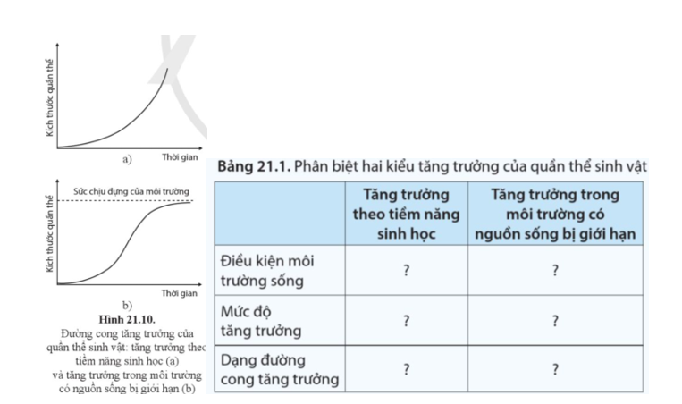 Quan sát hình 21.10 và hoàn thành bảng 21.1. (ảnh 1)