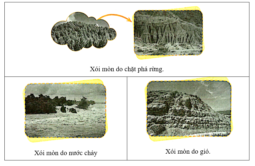 Mô tả nguyên nhân gây xói mòn đất trong các hình dưới đây vào chỗ (…). (ảnh 2)