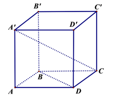 Khẳng định nào dưới đây là đúng A. vecto AD = vecto AB (ảnh 1)