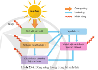 Dựa vào thông tin ở hình 23.6, hãy mô tả khái quát dòng năng lượng đi vào và đi ra khỏi hệ sinh thái. (ảnh 1)