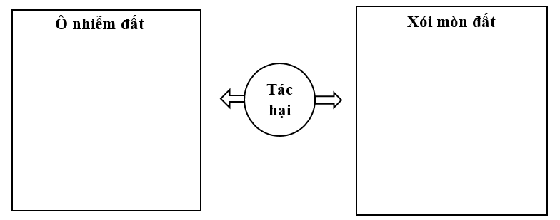 Viết hoặc vẽ những tác hại của ô nhiễm và xói mòn đất theo sự sáng tạo của em. (ảnh 1)