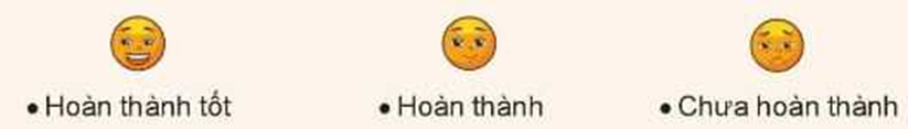 Em tự đánh giá kết quả học được từ chủ đề theo gợi ý:   - Nhận biết những nguy cơ bị xâm hại. - Thực hiện (ảnh 1)