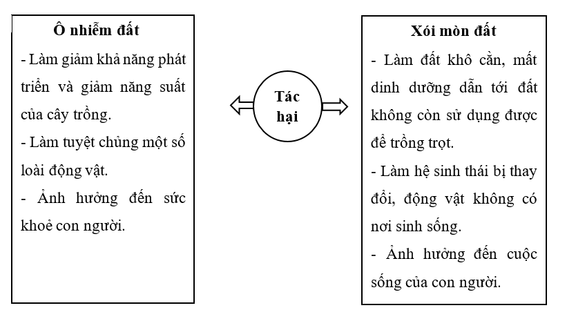 Viết hoặc vẽ những tác hại của ô nhiễm và xói mòn đất theo sự sáng tạo của em. (ảnh 2)