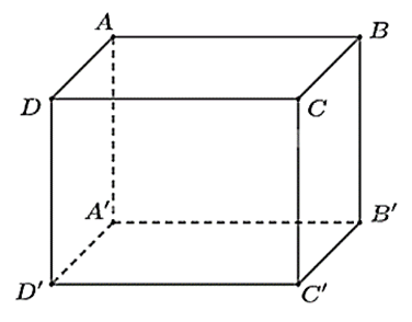 Mệnh đề nào sau đây là sai A. vecto AB = vecto A'B' (ảnh 1)