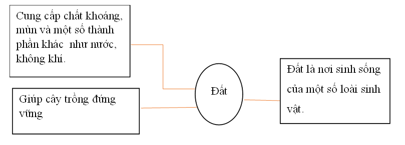 Viết, vẽ sơ đồ về thành phần và vai trò của đất theo sự sáng tạo của em vào khung dưới đây. (ảnh 2)