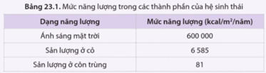 Bảng 23.1 thể hiện năng lượng của một số thành phần khác nhau trong hệ sinh thái đầm lầy nước mặn.  a) Nhận xét hiệu suất sinh thái giữa các bậc dinh dưỡng trong hệ sinh thái này.  b) Vẽ tháp sinh thái năng lượng tương ứng với các bậc dinh dưỡng. (ảnh 1)