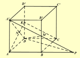 Cho hình lập phương \(ABCD.A'B'C'D'\) có cạnh bằng \(a\). Gọi \(K\) là một điểm thuộc cạnh \(DD'(K\) khác \(D\) và \(D'\)) sao cho khoảng cách giữa hai đường thẳng \(CK\) và \(A'D\) bằng \(\frac{a}{3}\). Tỉ số \(\frac{{DK}}{{DD'}}\) bằng (1) ___. (ảnh 1)