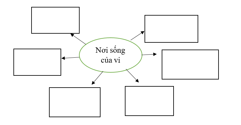 Vẽ, viết và hoàn thành sơ đồ sau: (ảnh 1)