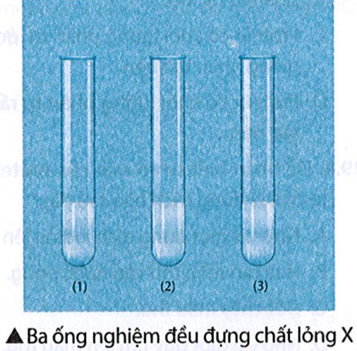 Một nhóm học sinh tiến hành thí nghiệm sau:   Bước 1: Chuẩn bị 3 ống nghiệm sạch và đánh số (1), (2), (3). (ảnh 1)