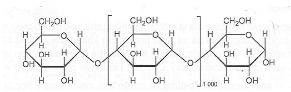 Carbohydrate nào có cấu trúc phân tử được biểu diễn dưới đây? (ảnh 1)