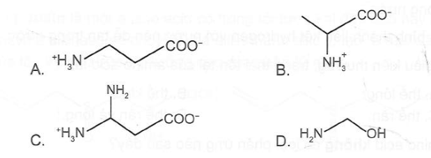 Cơ thể người mã hoá được loại amino acid nào sau đây trong tổng hợp protein cho cơ thể? (ảnh 1)