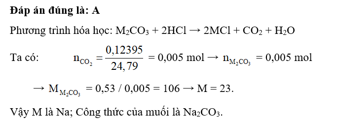 Cho 0,53 gam muối carbonate của kim loại nhóm IA tác dụng với dung dịch HCl, thu được  (ảnh 1)