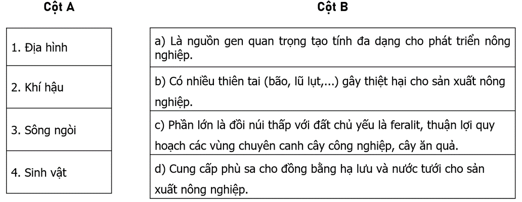 Nối các ý ở cột A với các ý ở cột B cho phù hợp với thế mạnh và hạn chế của điều kiện tự nhiên đối với phát (ảnh 1)