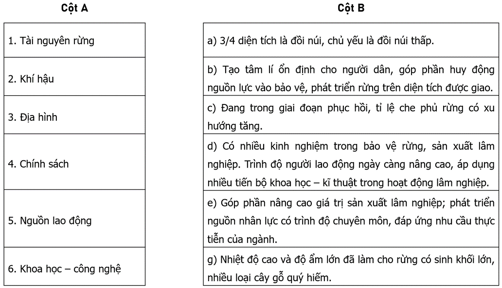 Nối các ý ở cột A với các ý ở cột B cho phù hợp với thế mạnh và hạn chế trong phát triển lâm nghiệp (ảnh 1)