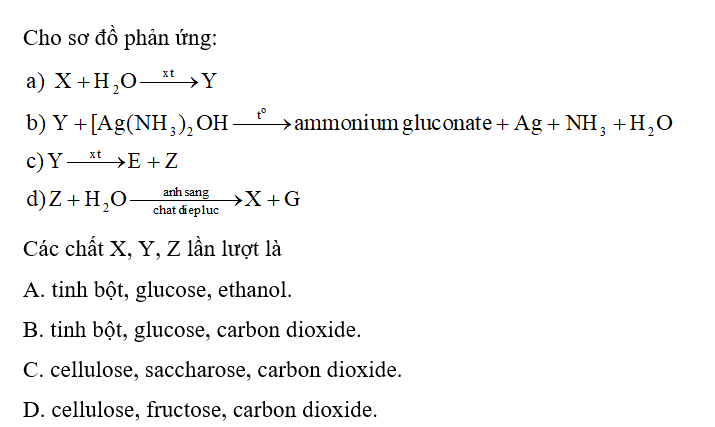 Các chất X, Y, Z lần lượt là A. tinh bột, glucose, ethanol.  	 B. tinh bột, glucose, carbon dioxide. (ảnh 1)