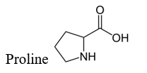 Amine và amino acid nào sau đây có cùng bậc? A. Methylamine và alanine (ảnh 1)