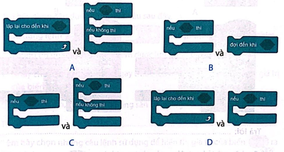 Hãy chọn hai khối lệnh trong Scratch cùng thể hiện cấu trúc rẽ nhánh.  (ảnh 1)