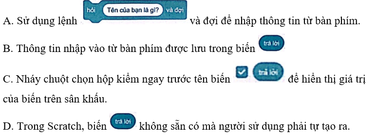 Em hãy chọn câu đúng trong các câu sau đây.  (ảnh 1)