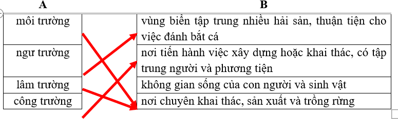 Nối mỗi lời giải nghĩa ở cột B phù hợp với mỗi từ ở cột A: (ảnh 1)