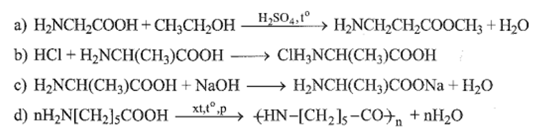 Một học sinh viết các phương trình hóa học minh họa tính chất của các amino acid: (ảnh 1)