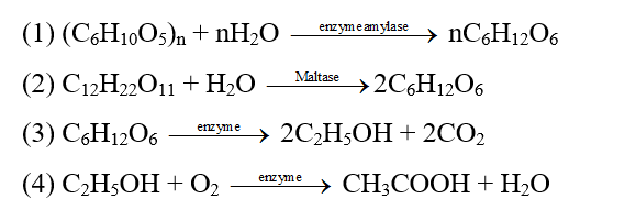 Viết phương trình hoá học của bốn phản ứng có xúc tác enzyme mà em đã học. (ảnh 1)