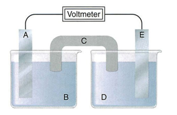 Xét pin Galvani tạo bởi hai điện cực kim loại:   a) A là anode, E là cathode, C là cầu muối. (ảnh 1)