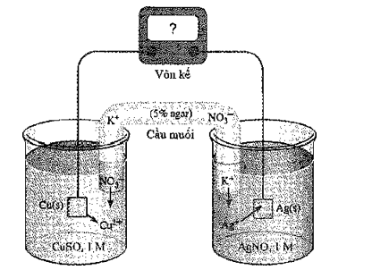 Xét quá trình hoạt động của một pin điện hoá Cu – Ag được thiết lập ở các điều kiện như hình vẽ bên. (ảnh 1)