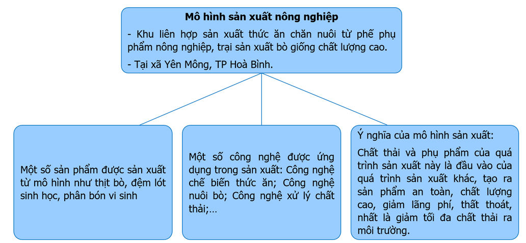 Lựa chọn một trong những mô hình sản xuất nông nghiệp sau và trình bày về mô hình đó theo sơ đồ gợi ý (ảnh 1)